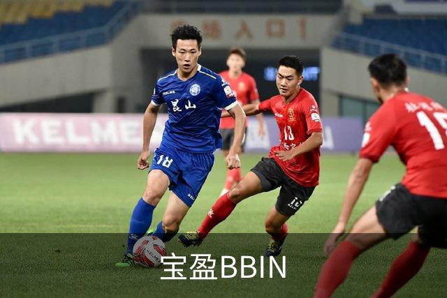 宝盈BBIN 公司简介